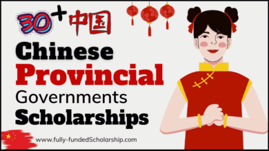 Chinese Provincial Government Scholarships 2024 for BS, MS, and PHD Admissions