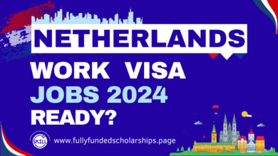 Upcoming Skill Shortage Professions in Netherlands in 2024