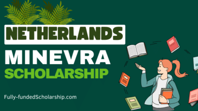 Minerva Scholarship Fund 2024 at Leiden University