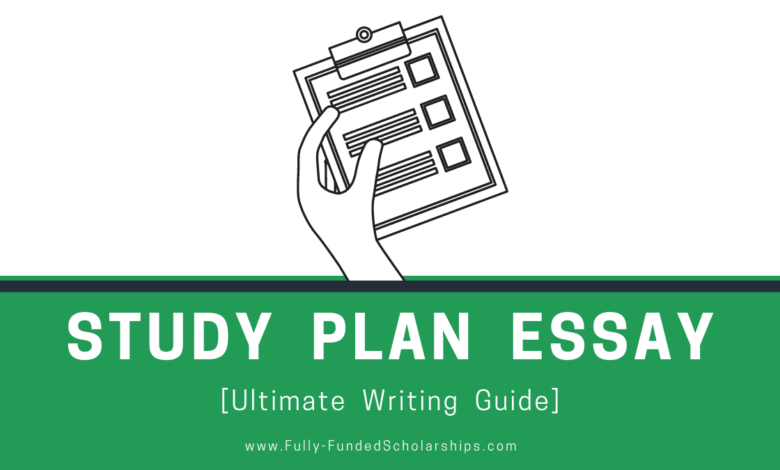 Study Plan Essay Writing for Scholarship Application