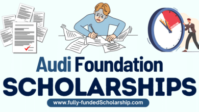 Audi Environmental Foundation Scholarship 2024 Open